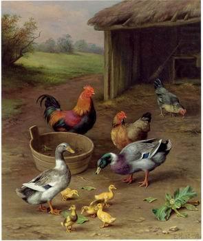 unknow artist poultry  147 china oil painting image